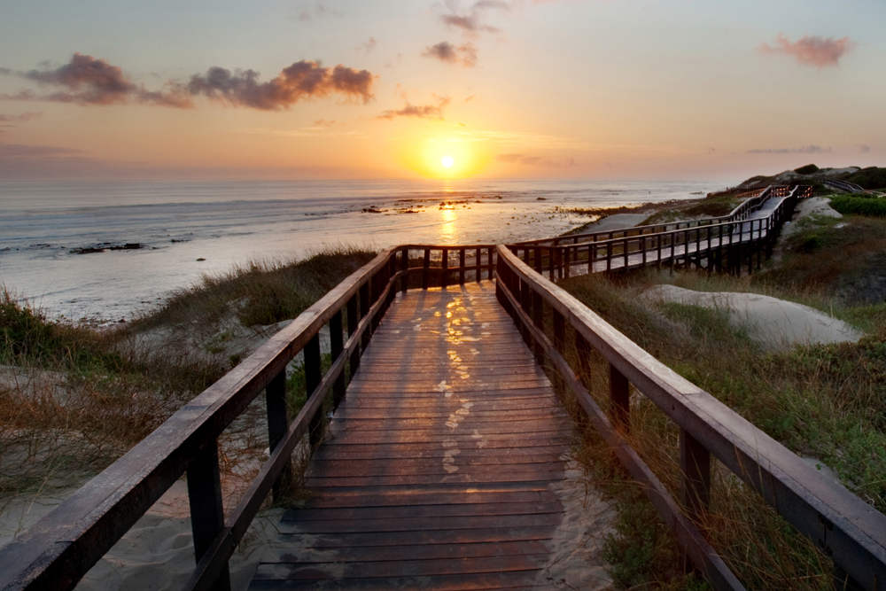 port-elizabeth-city-walking-city-tour